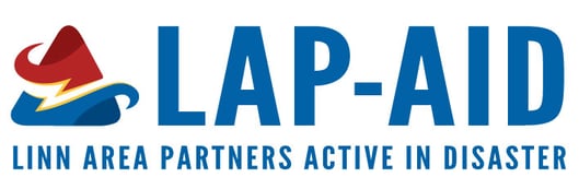 LAP-AID-Logo_4C_Web